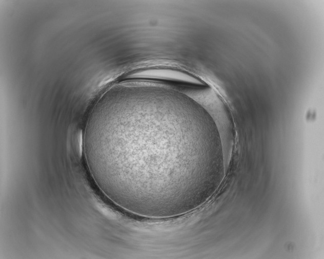X0000094210013200711021126