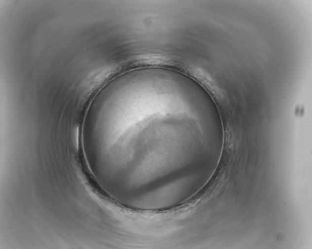 X0000094210014200711021126