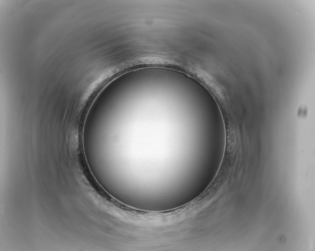 X0000094210015200711021126