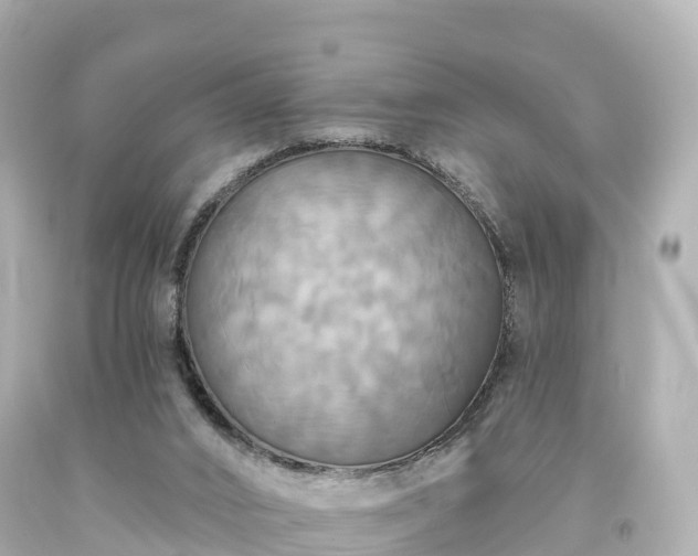 X0000094210016200711021126