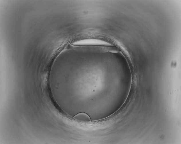 X0000094210018200711021126