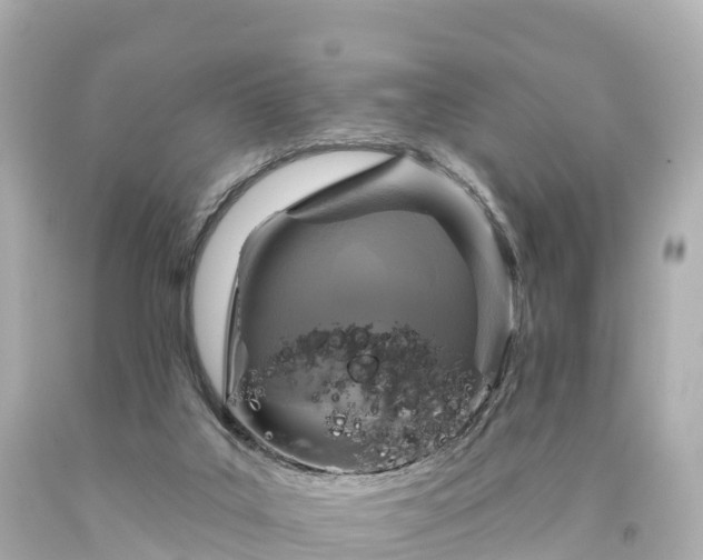 X0000094210019200711021126