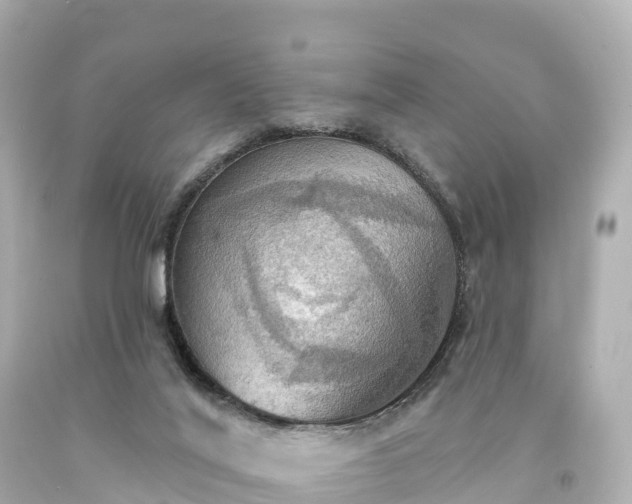 X0000094210020200711021126