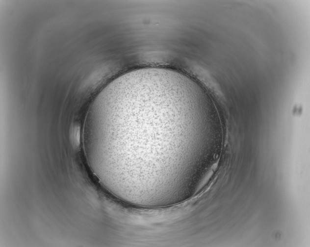 X0000094210021200711021126