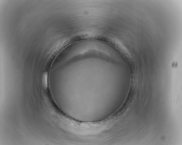 X0000094210022200711021126