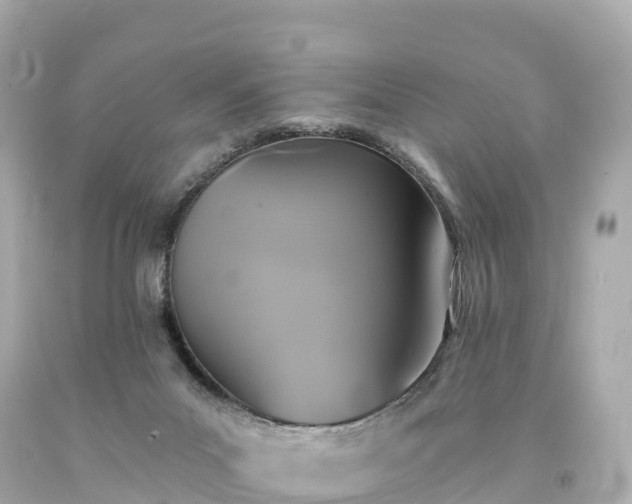 X0000094210023200711021126