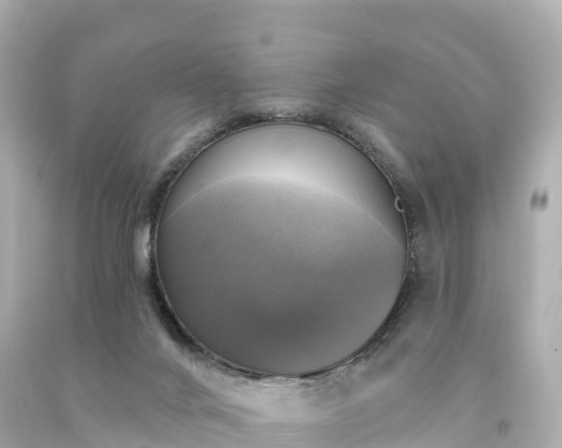X0000094210024200711021126