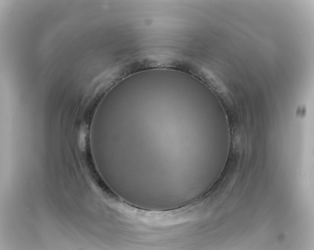 X0000094210026200711021126