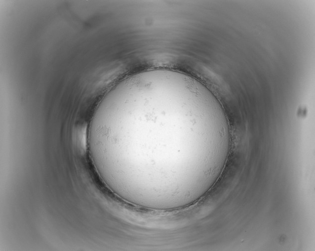 X0000094210028200711021126