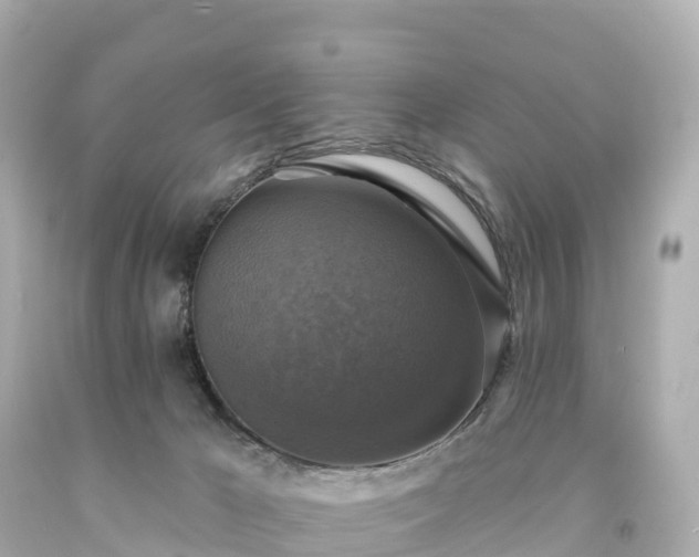 X0000094210029200711021126