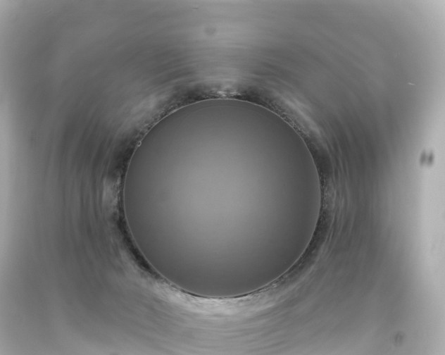 X0000094210030200711021126