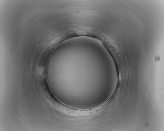 X0000094210031200711021126