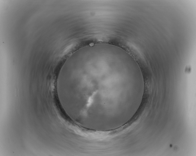 X0000094210032200711021126
