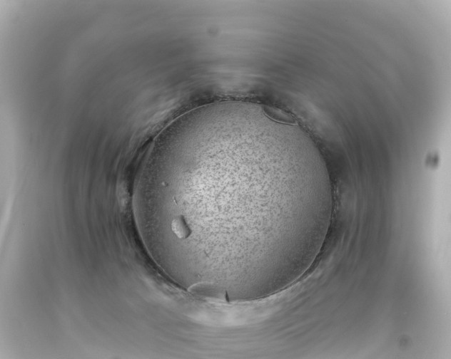 X0000094210033200711021126