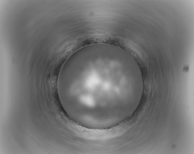 X0000094210034200711021126
