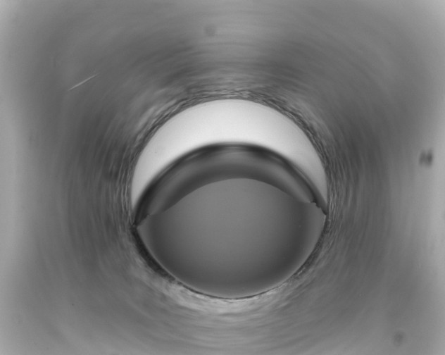 X0000094210035200711021126