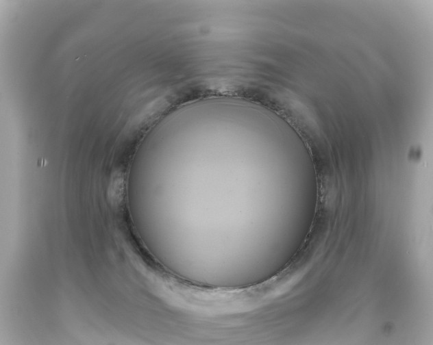 X0000094210036200711021126