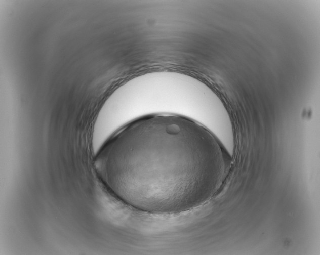 X0000094210037200711021126