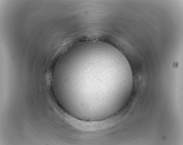 X0000094210038200711021126
