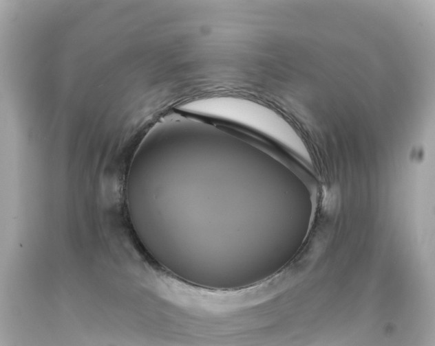 X0000094210039200711021126