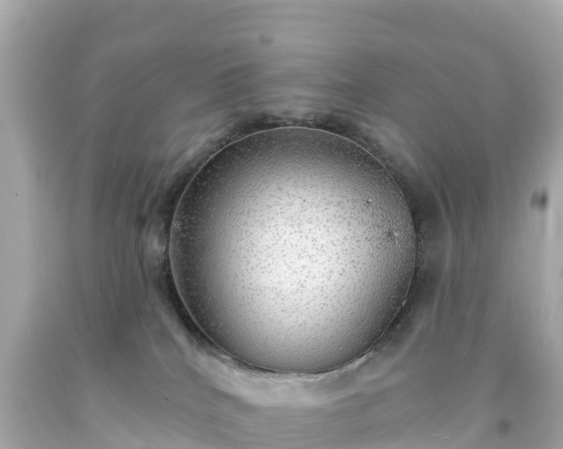 X0000094210040200711021126