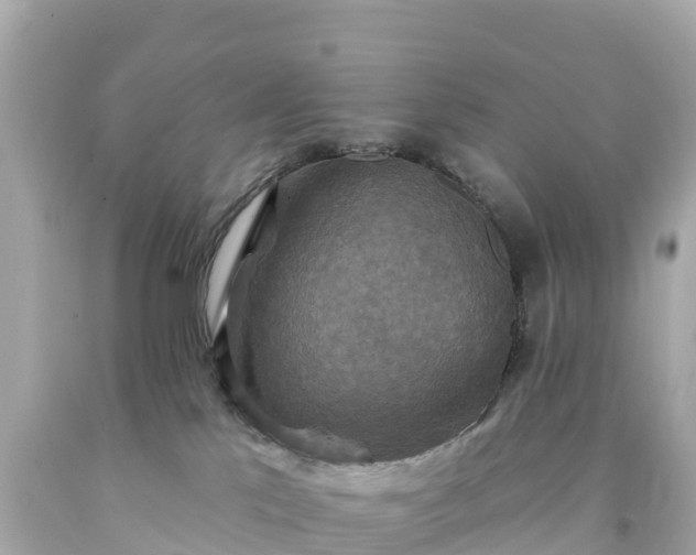 X0000094210041200711021126