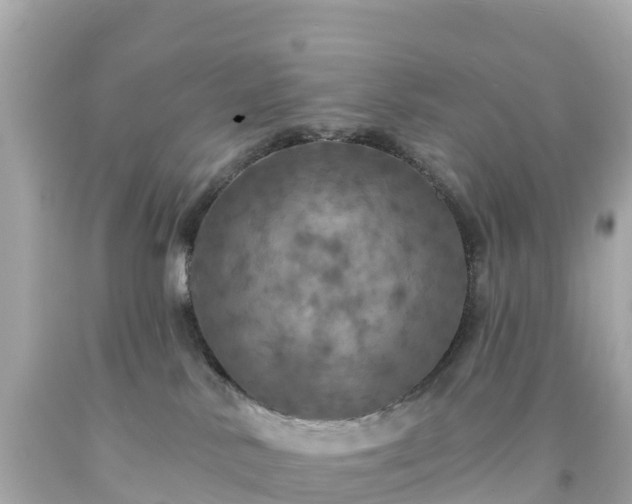 X0000094210042200711021126