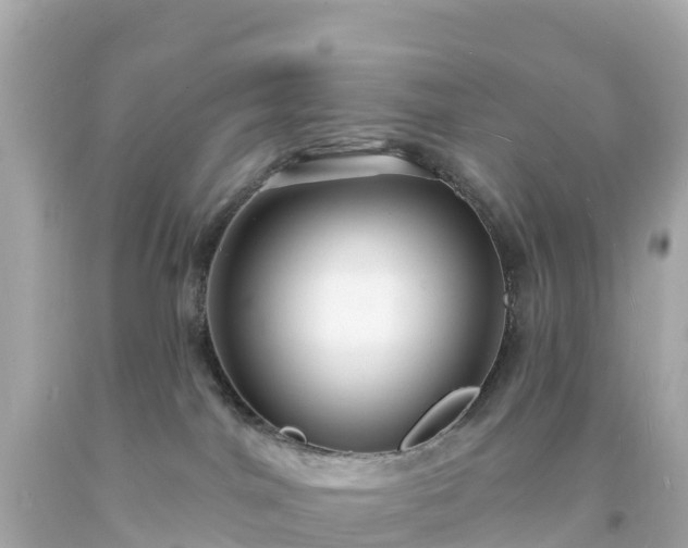 X0000094210044200711021126
