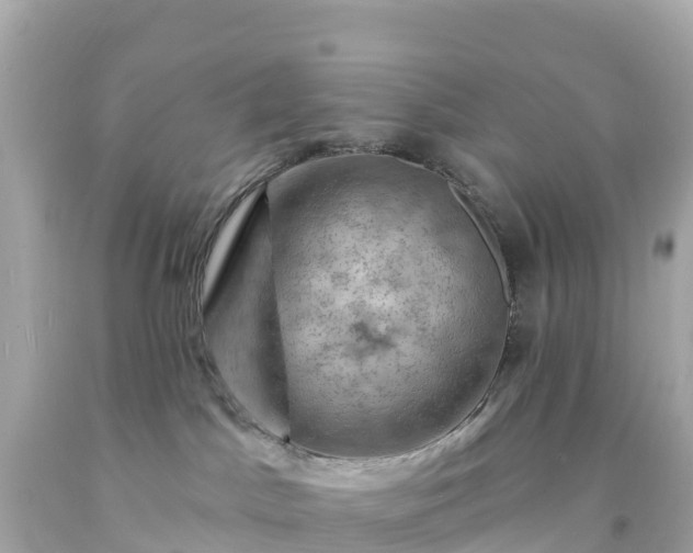 X0000094210045200711021126