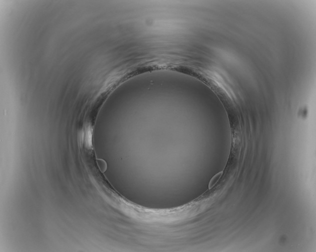 X0000094210046200711021126