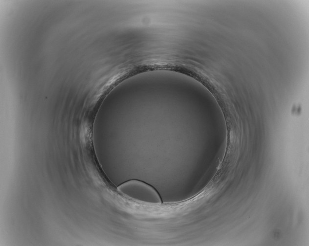 X0000094210048200711021126