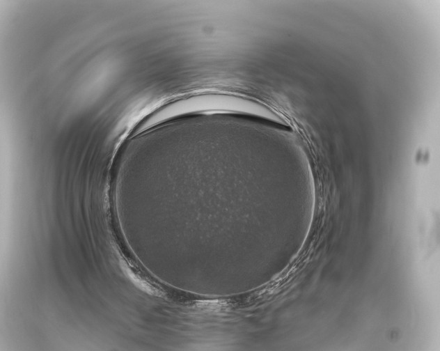 X0000094210050200711021125