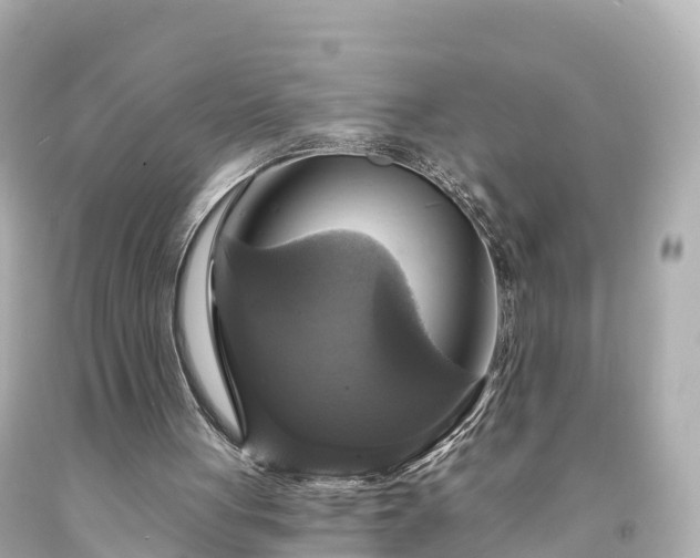 X0000094210051200711021125