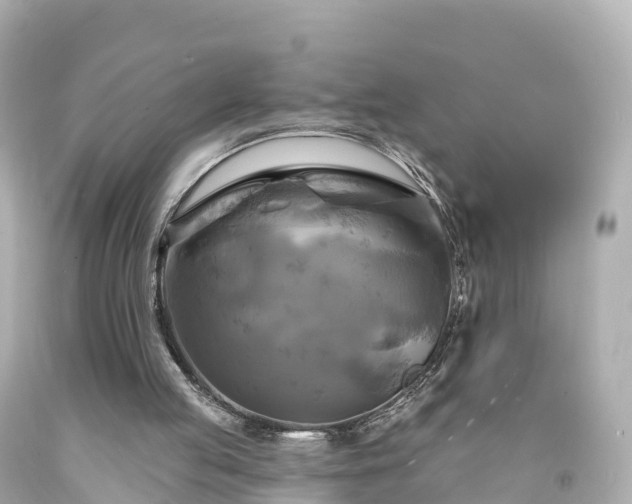 X0000094210053200711021125