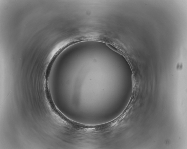 X0000094210054200711021125