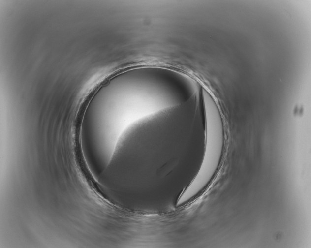 X0000094210055200711021125