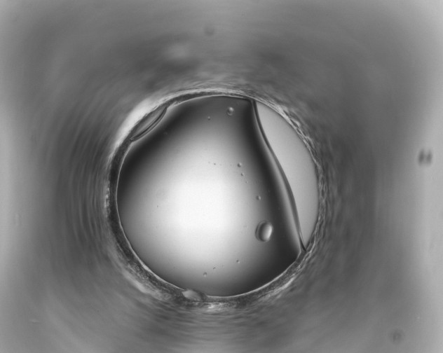 X0000094210056200711021125