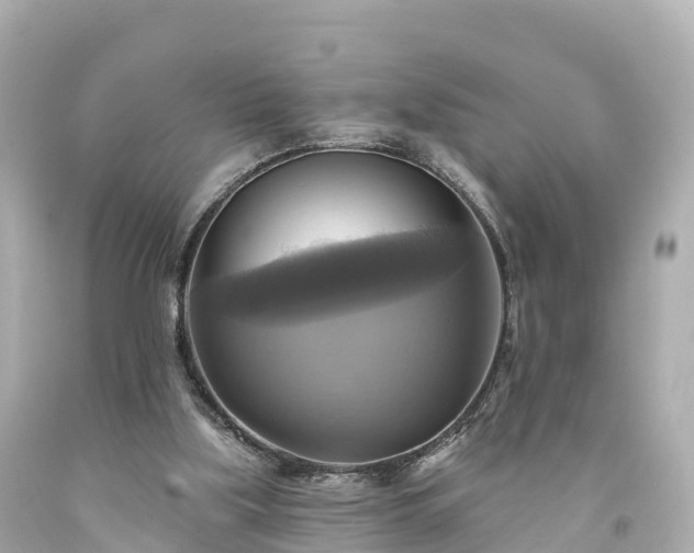 X0000094210059200711021125