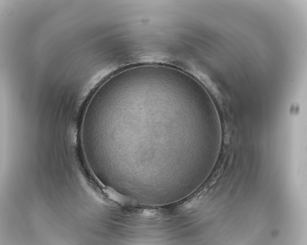 X0000094210060200711021125