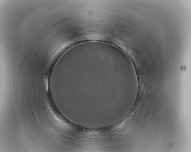 X0000094210062200711021125
