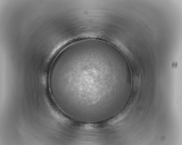 X0000094210064200711021125