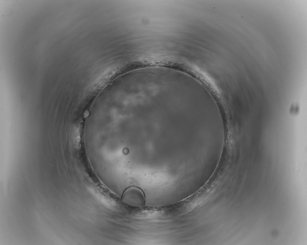 X0000094210065200711021125
