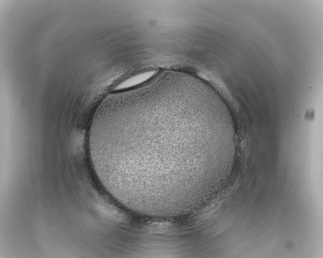 X0000094210066200711021125