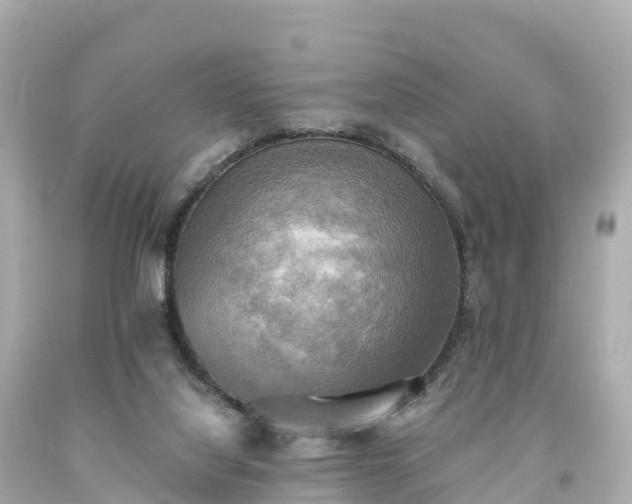 X0000094210068200711021125