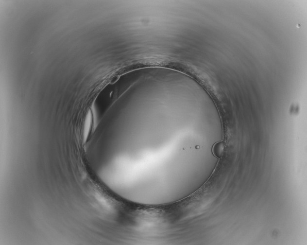 X0000094210069200711021125