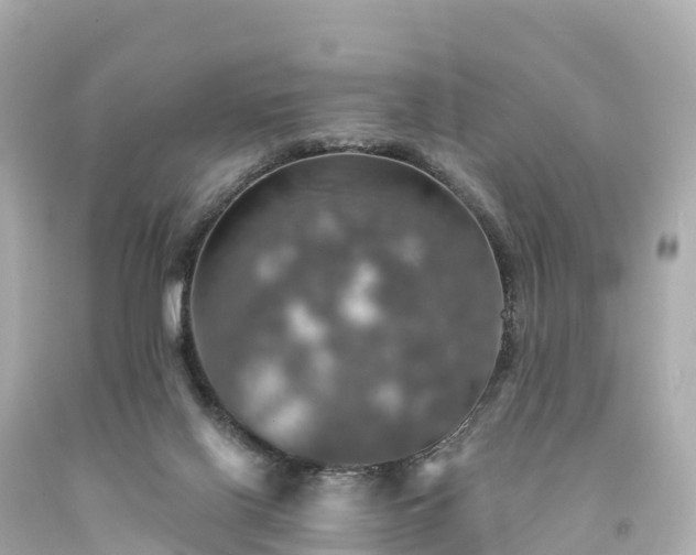 X0000094210070200711021125