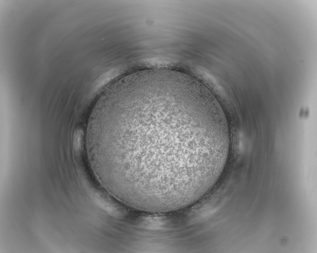 X0000094210071200711021125