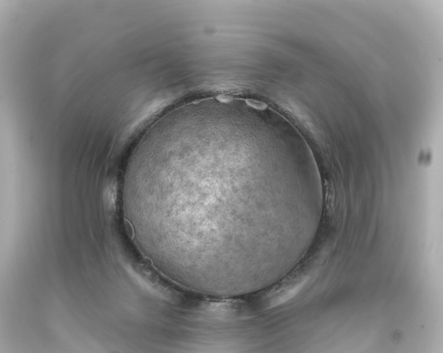 X0000094210072200711021125