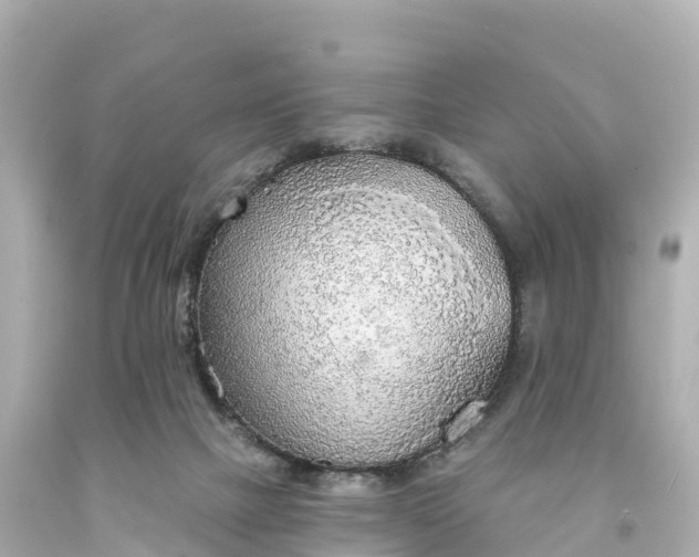 X0000094210073200711021125