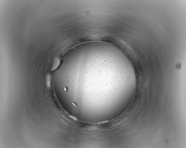 X0000094210075200711021125